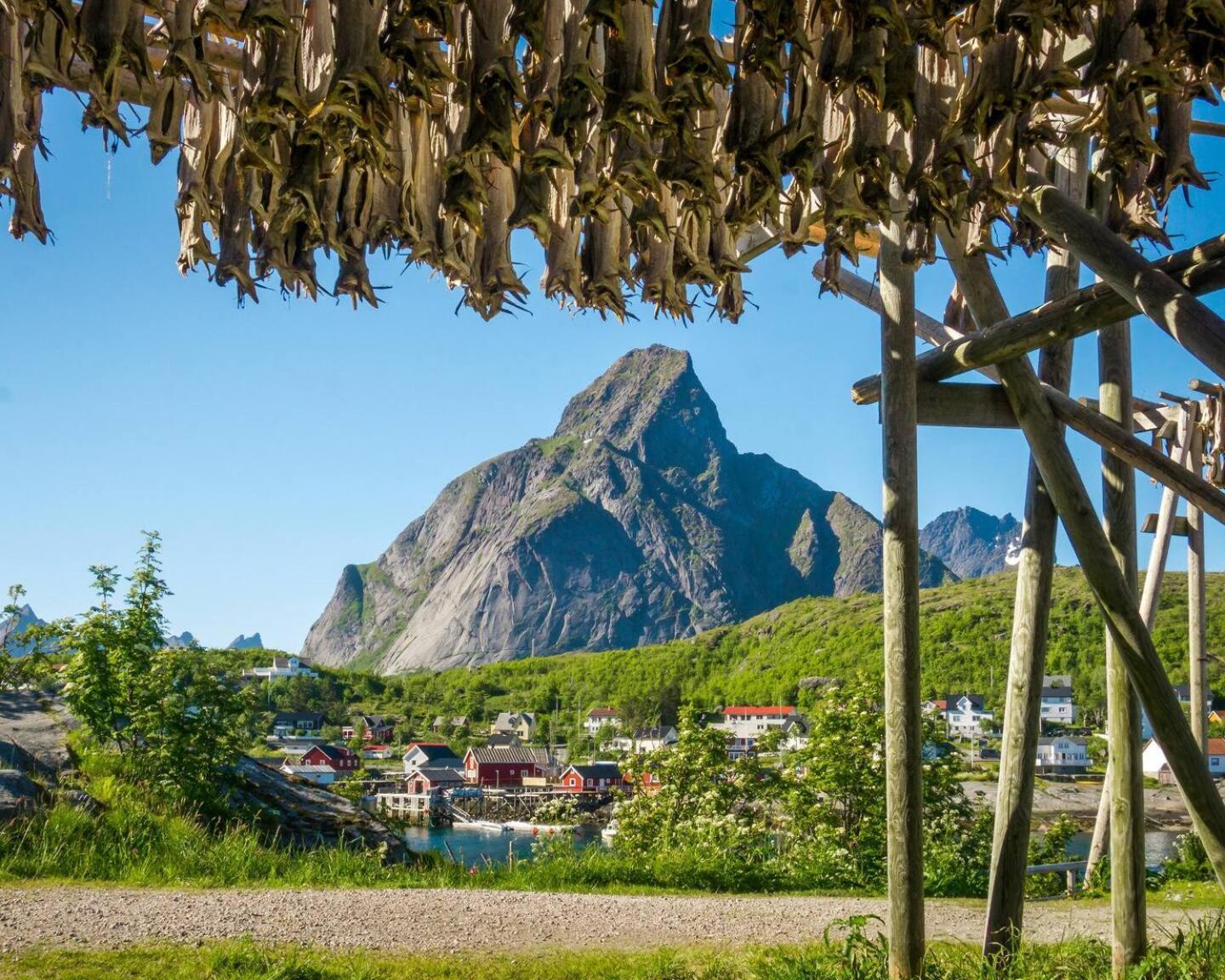 Seaview Feriehus *